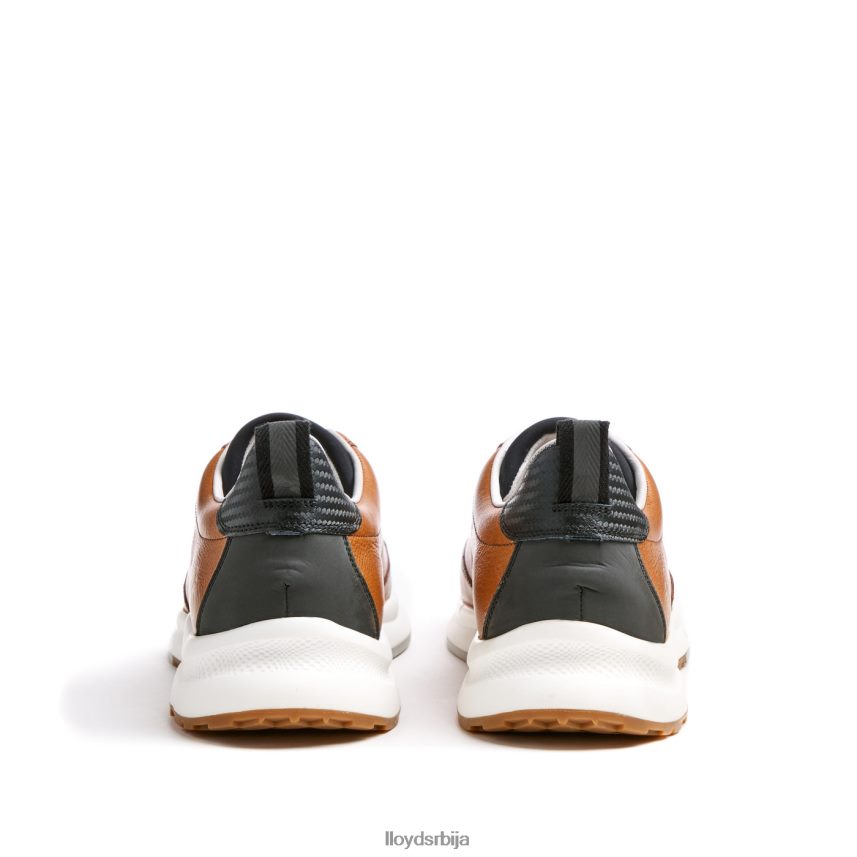 вело 6 мушкарци D0806T435 ципеле браон LLOYD