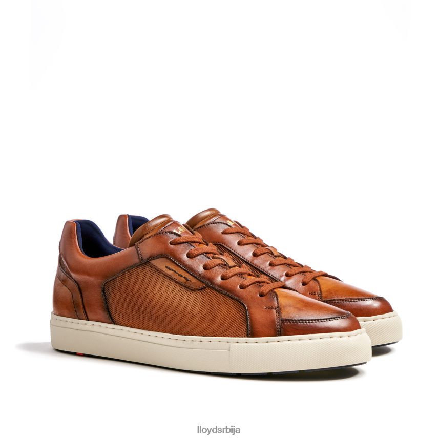 малага мушкарци D0806T1327 ципеле браон LLOYD