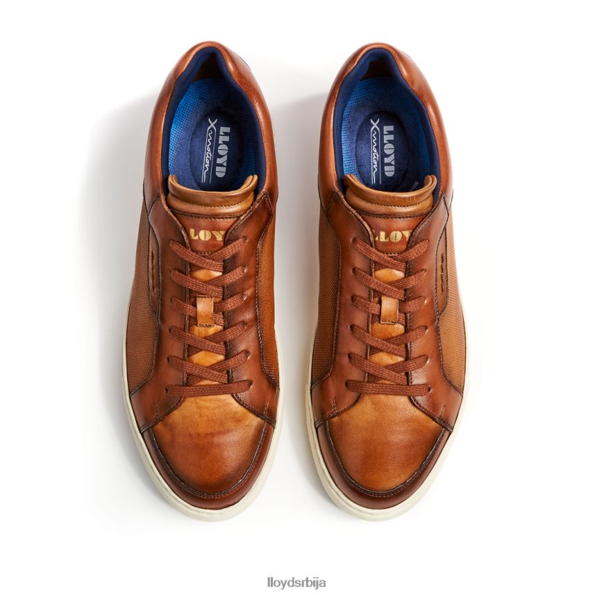 малага мушкарци D0806T1327 ципеле браон LLOYD