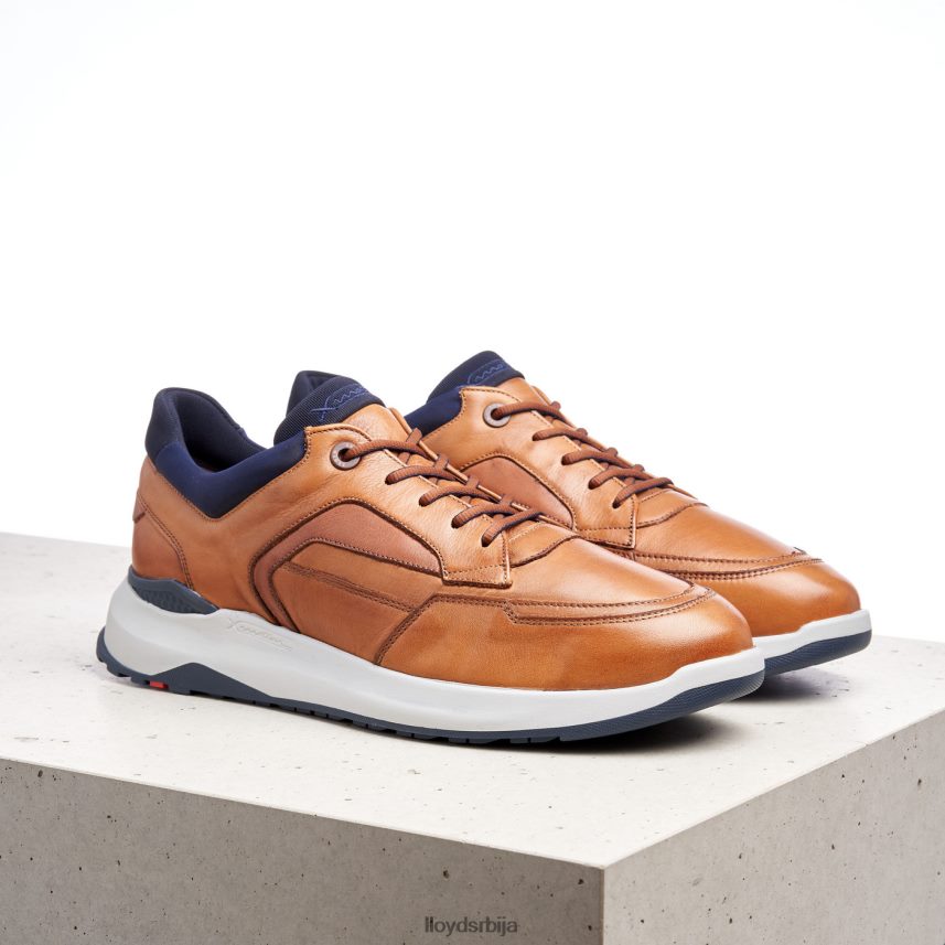 мемфис мушкарци D0806T1328 ципеле браон LLOYD