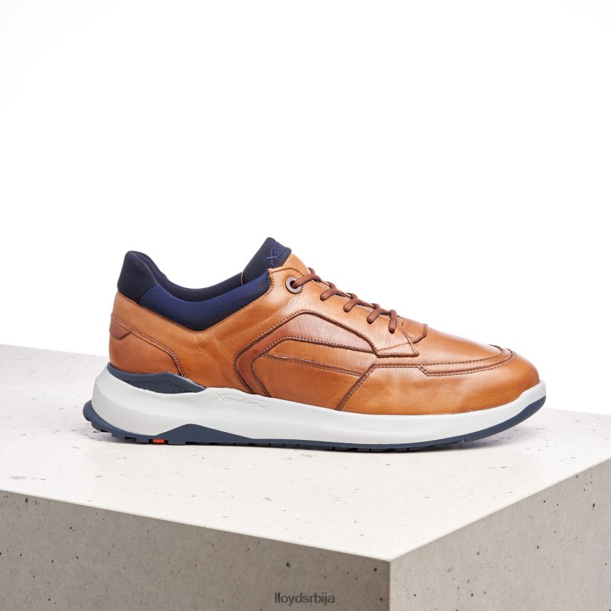 мемфис мушкарци D0806T1328 ципеле браон LLOYD