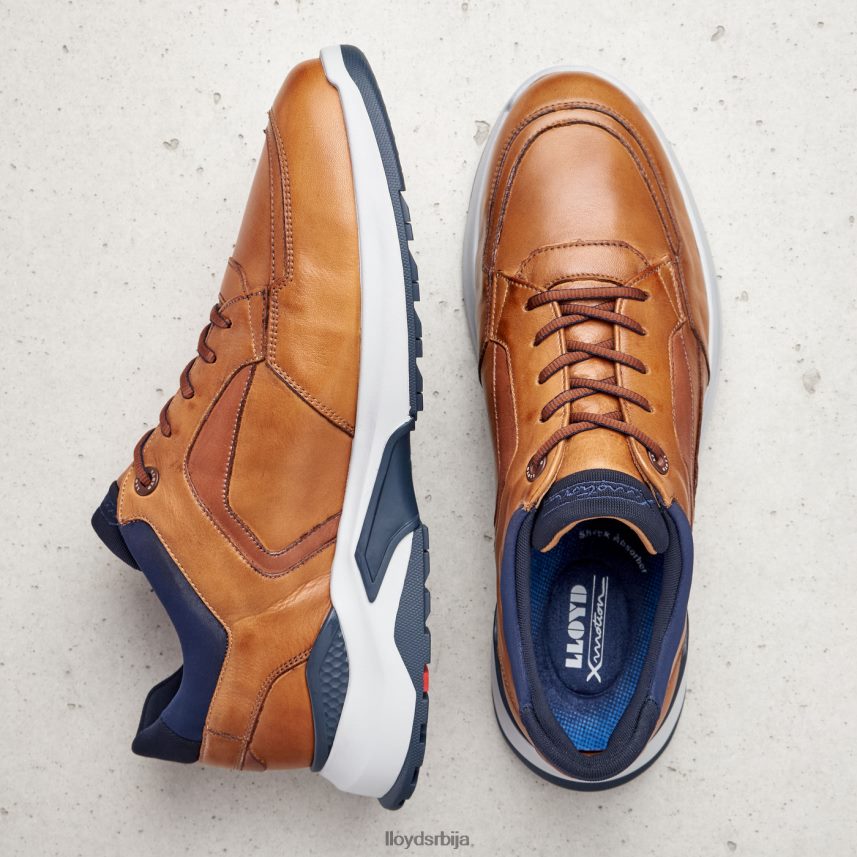 мемфис мушкарци D0806T1328 ципеле браон LLOYD