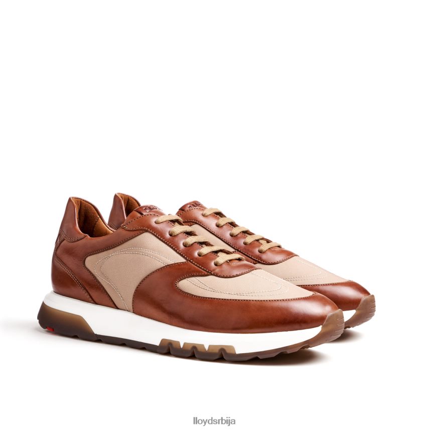 албани мушкарци D0806T1337 ципеле браон LLOYD