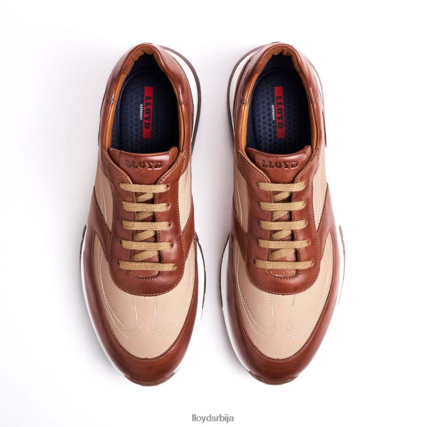 албани мушкарци D0806T1337 ципеле браон LLOYD