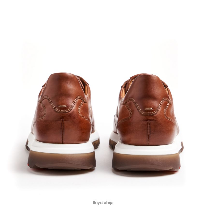 албани мушкарци D0806T1337 ципеле браон LLOYD