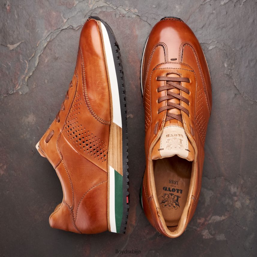 Валцотт мушкарци D0806T180 ципеле браон LLOYD