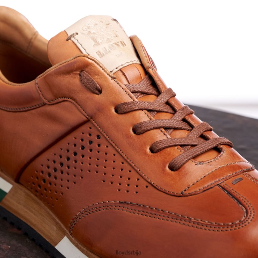 Валцотт мушкарци D0806T180 ципеле браон LLOYD