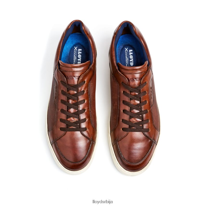 малага мушкарци D0806T249 ципеле браон LLOYD