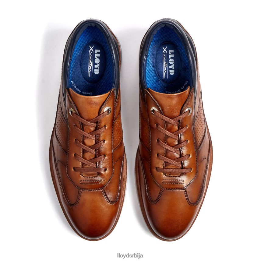 маким мушкарци D0806T250 ципеле браон LLOYD