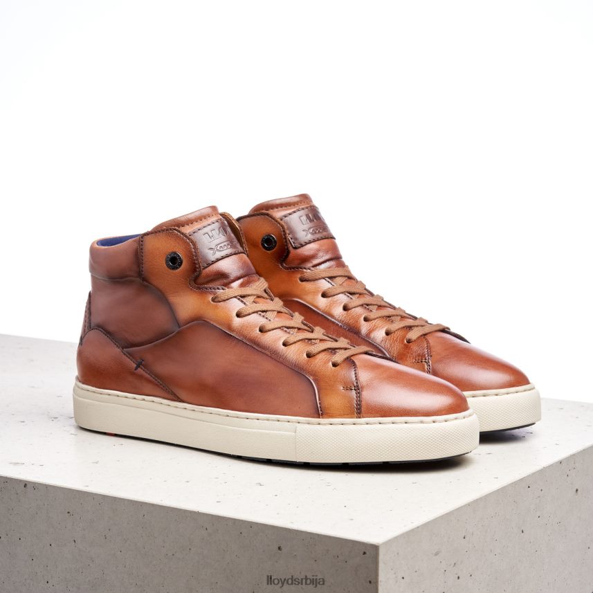 маршал мушкарци D0806T254 ципеле браон LLOYD