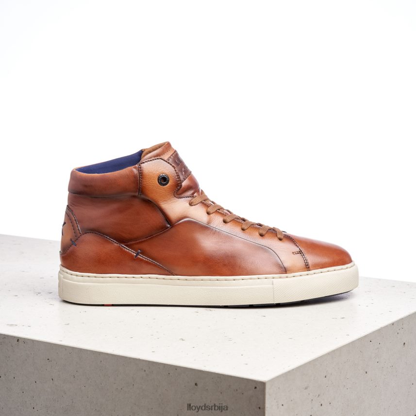 маршал мушкарци D0806T254 ципеле браон LLOYD