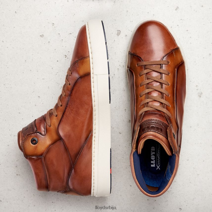 маршал мушкарци D0806T254 ципеле браон LLOYD