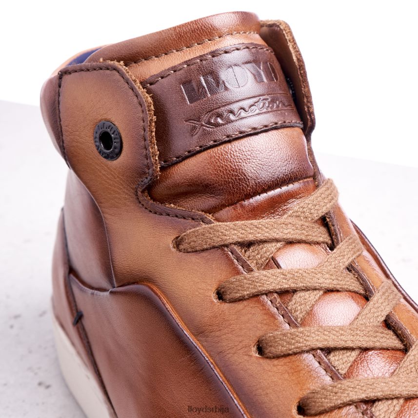 маршал мушкарци D0806T254 ципеле браон LLOYD