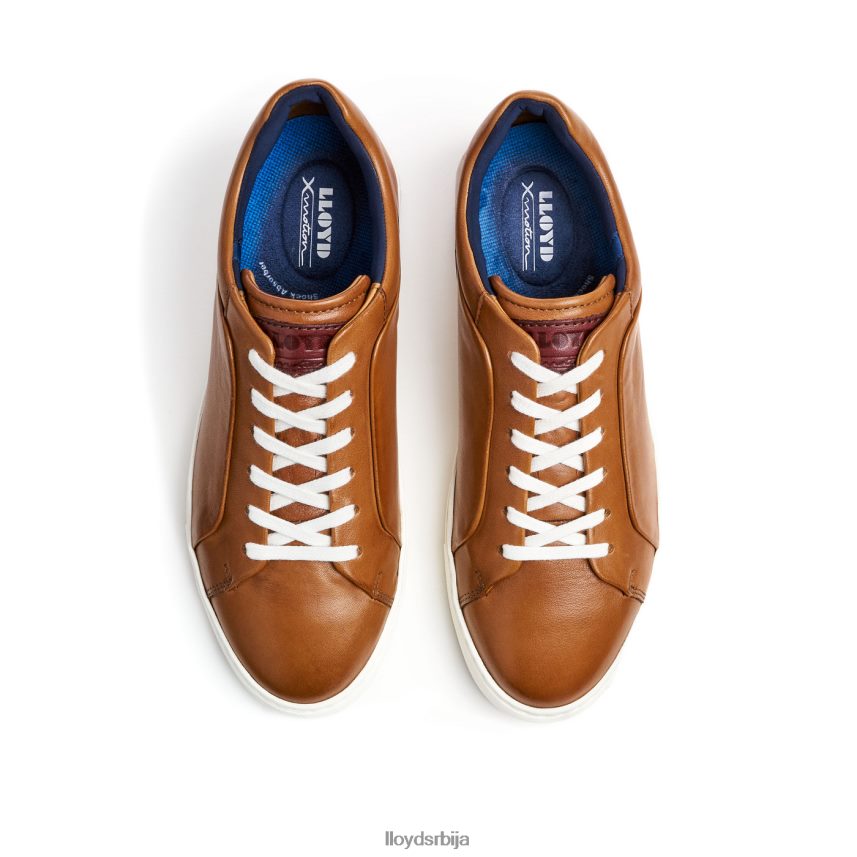 мајуро мушкарци D0806T258 ципеле браон LLOYD