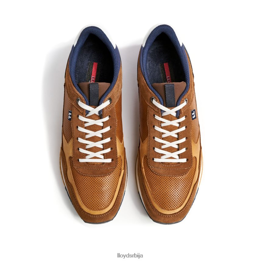 емилиан мушкарци D0806T282 ципеле браон LLOYD