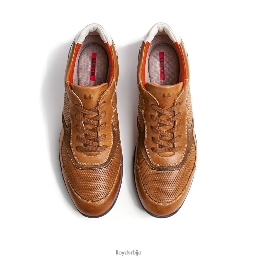 Балтиморе мушкарци D0806T287 ципеле браон LLOYD