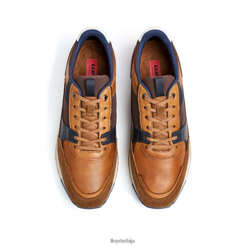 еирон мушкарци D0806T293 ципеле браон LLOYD