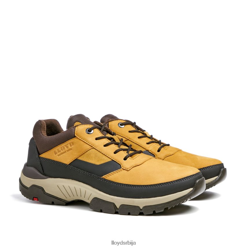 ебе мушкарци D0806T295 ципеле браон LLOYD