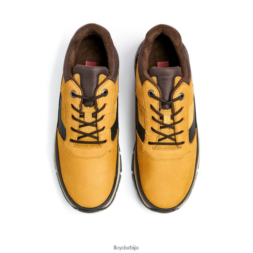 ебе мушкарци D0806T295 ципеле браон LLOYD