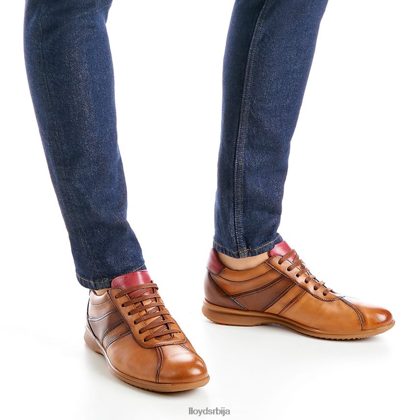 давос мушкарци D0806T308 ципеле браон LLOYD