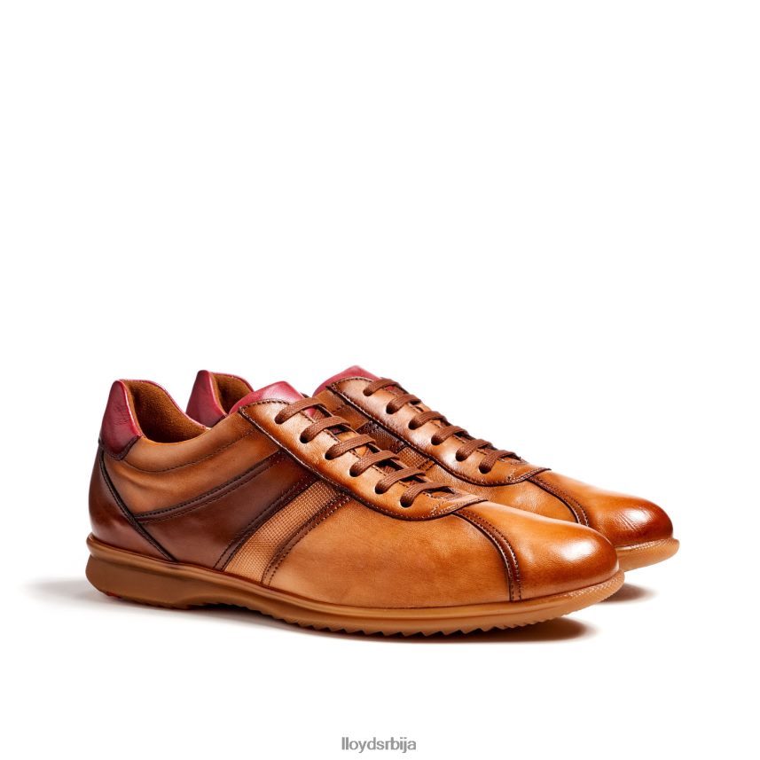 давос мушкарци D0806T308 ципеле браон LLOYD