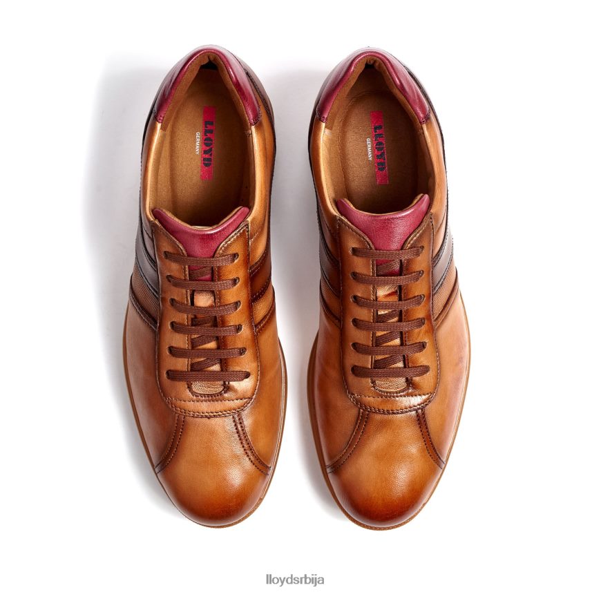 давос мушкарци D0806T308 ципеле браон LLOYD