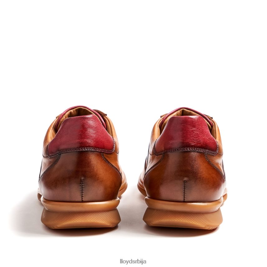 давос мушкарци D0806T308 ципеле браон LLOYD