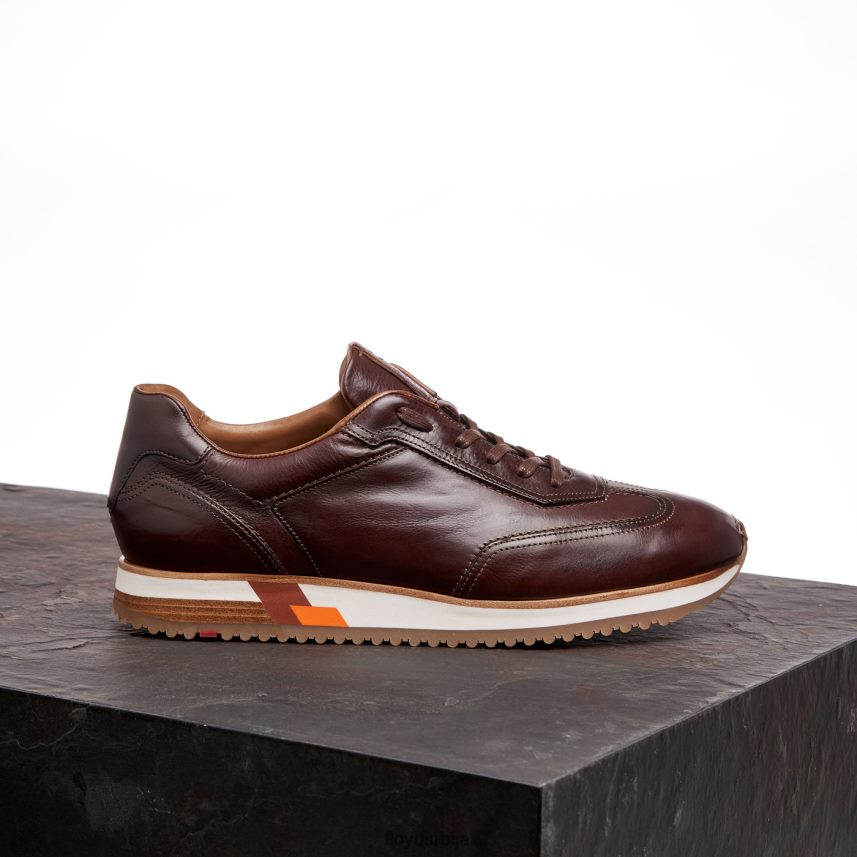 блаке мушкарци D0806T325 ципеле браон LLOYD