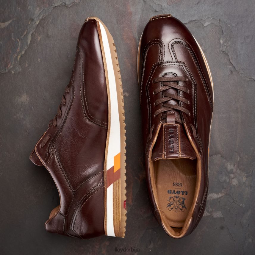 блаке мушкарци D0806T325 ципеле браон LLOYD