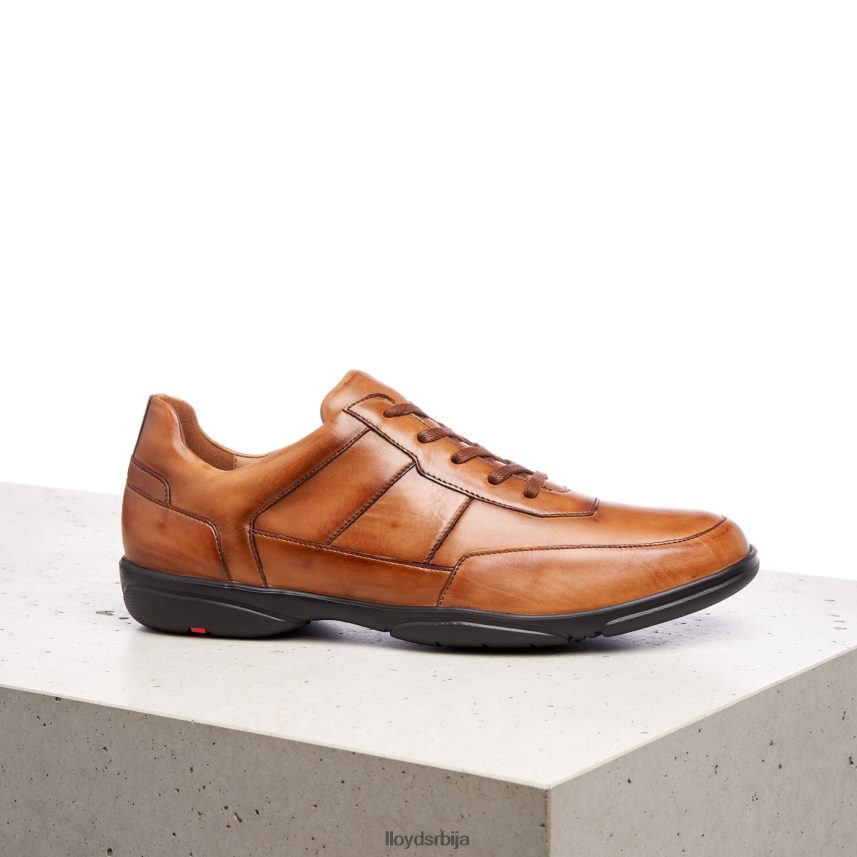 блои мушкарци D0806T375 ципеле браон LLOYD