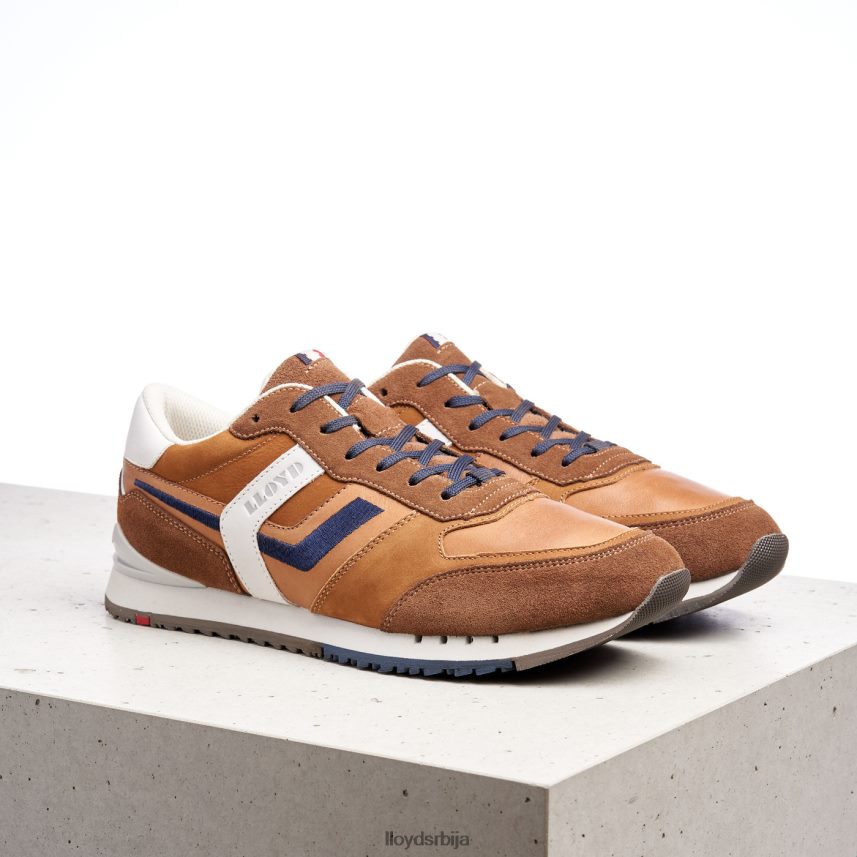 елио мушкарци D0806T381 ципеле браон LLOYD