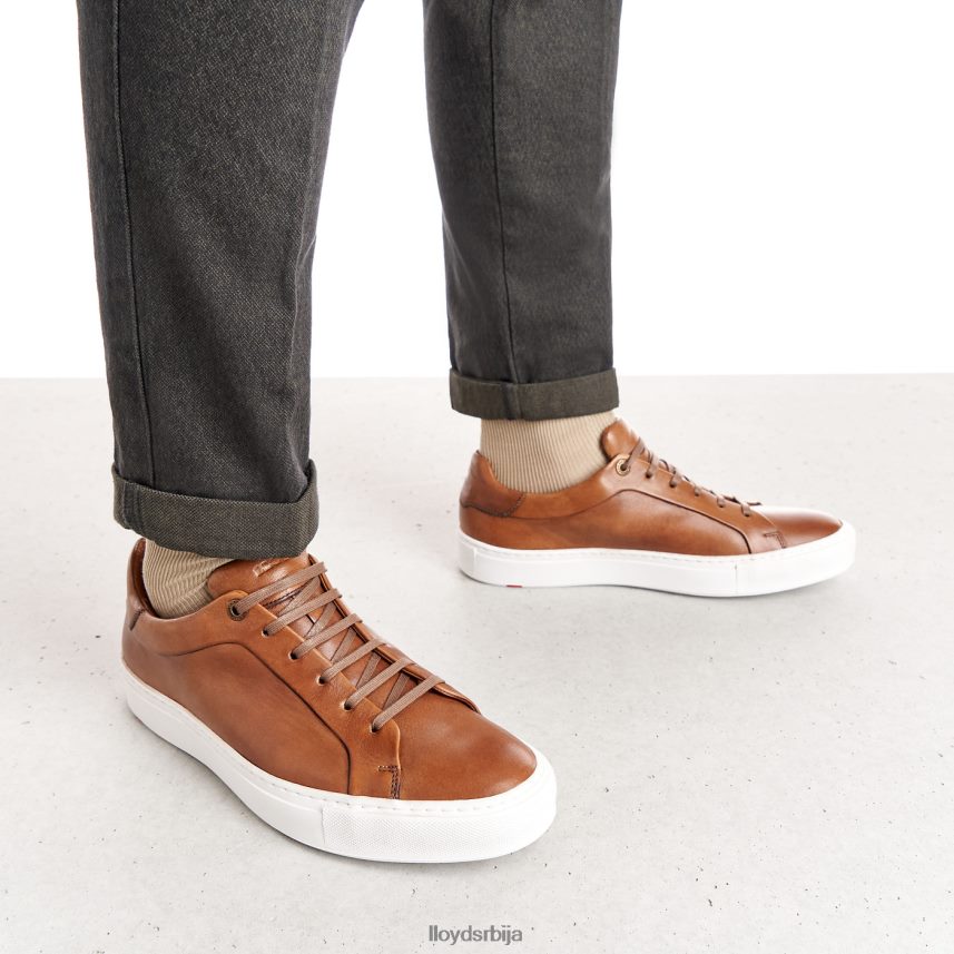 ајан мушкарци D0806T391 ципеле браон LLOYD