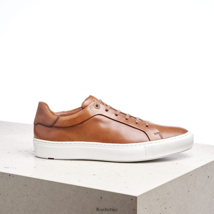 ајан мушкарци D0806T391 ципеле браон LLOYD