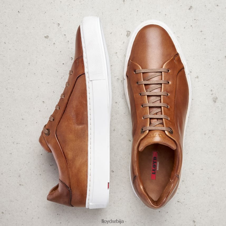 ајан мушкарци D0806T391 ципеле браон LLOYD