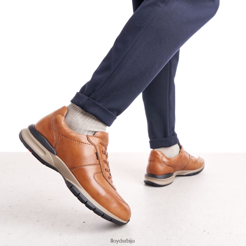 абердин мушкарци D0806T392 ципеле браон LLOYD