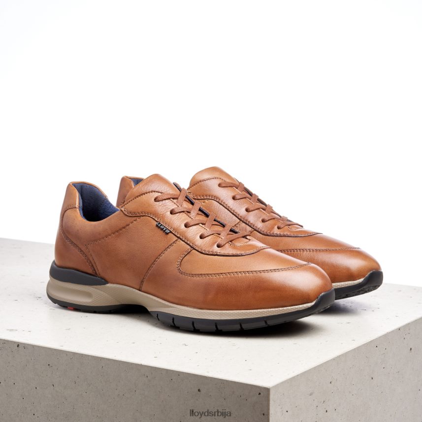 абердин мушкарци D0806T392 ципеле браон LLOYD