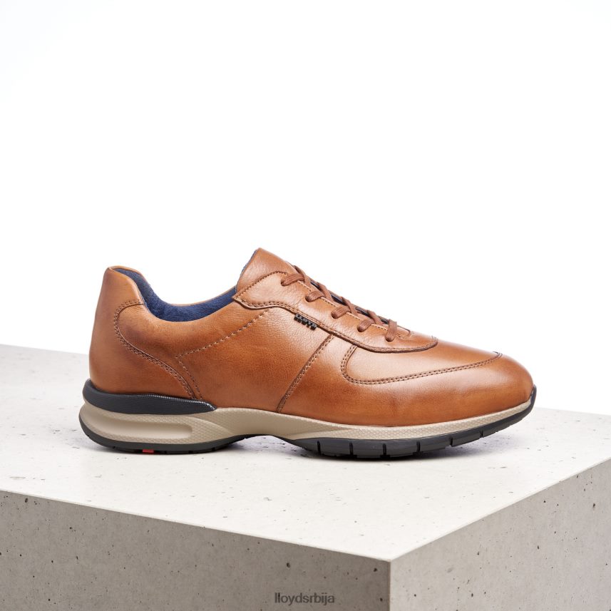 абердин мушкарци D0806T392 ципеле браон LLOYD