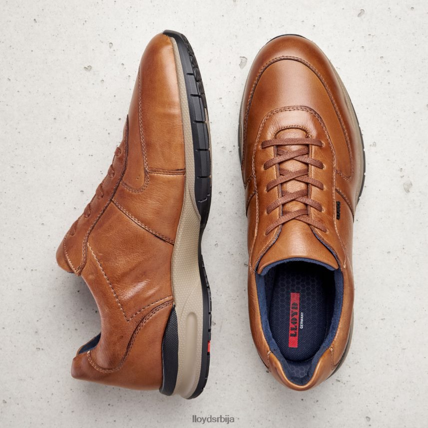 абердин мушкарци D0806T392 ципеле браон LLOYD