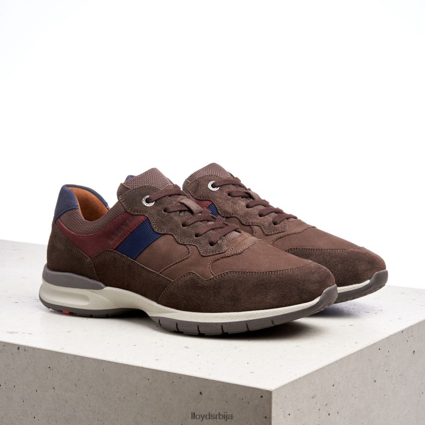 кант (ктравиде) мушкарци D0806T399 ципеле браон LLOYD