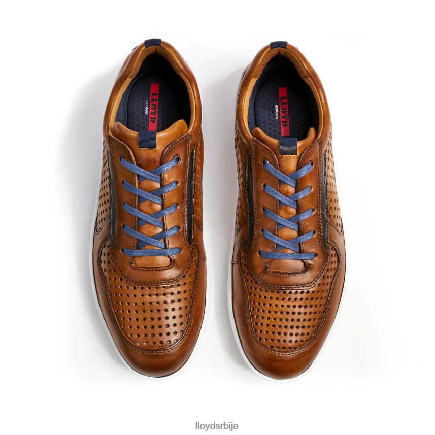 аботт мушкарци D0806T415 ципеле браон LLOYD