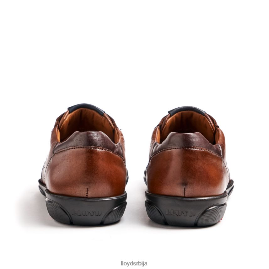 бревис мушкарци D0806T418 ципеле браон LLOYD