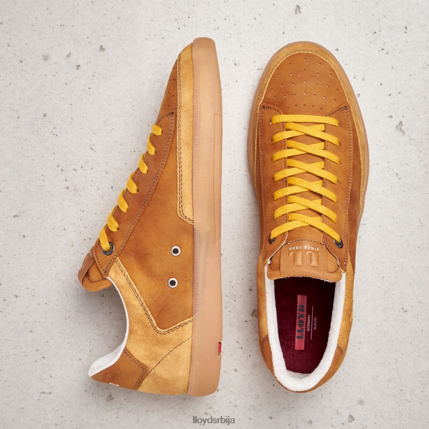 барон мушкарци D0806T427 ципеле браон LLOYD