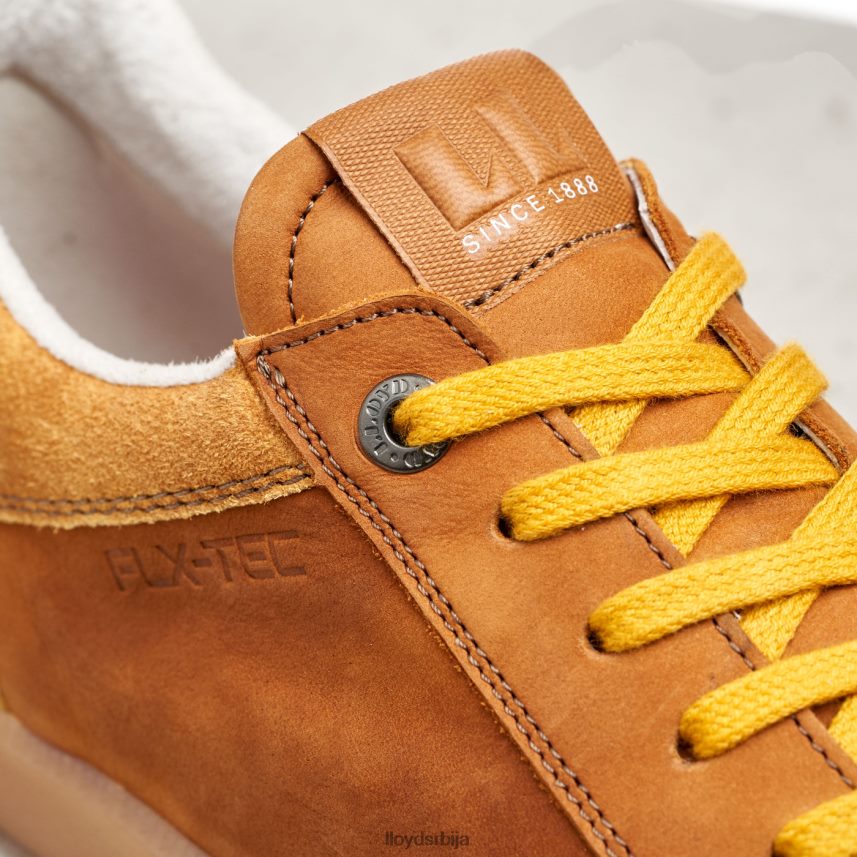 барон мушкарци D0806T427 ципеле браон LLOYD