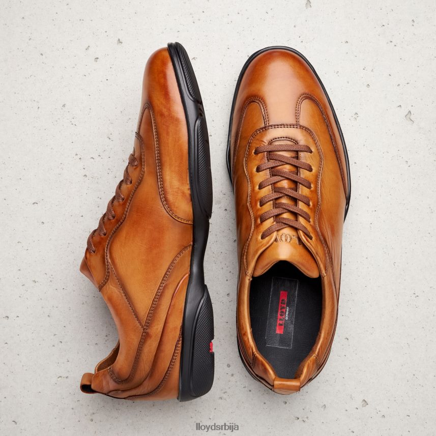 берн мушкарци D0806T436 ципеле браон LLOYD