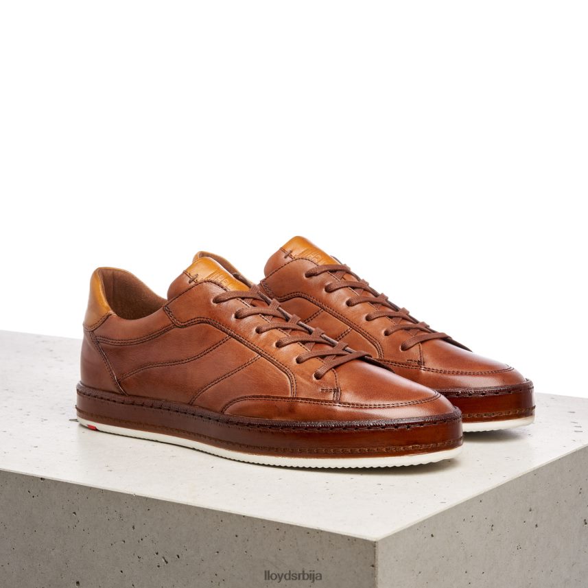 блацкбурн мушкарци D0806T440 ципеле браон LLOYD