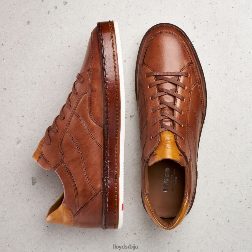 блацкбурн мушкарци D0806T440 ципеле браон LLOYD