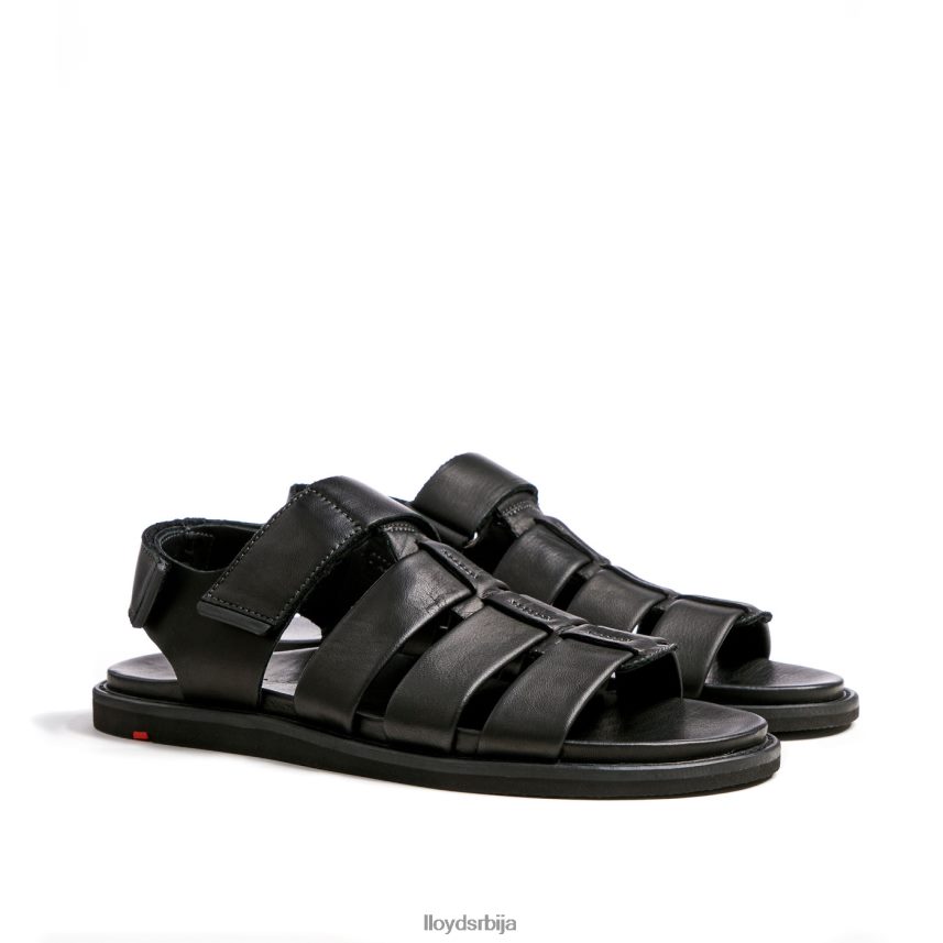 елимар мушкарци D0806T580 ципеле црн LLOYD