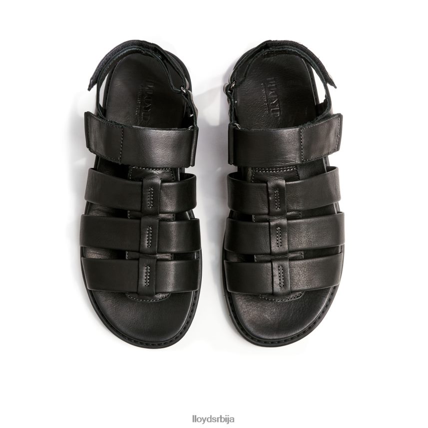 елимар мушкарци D0806T580 ципеле црн LLOYD