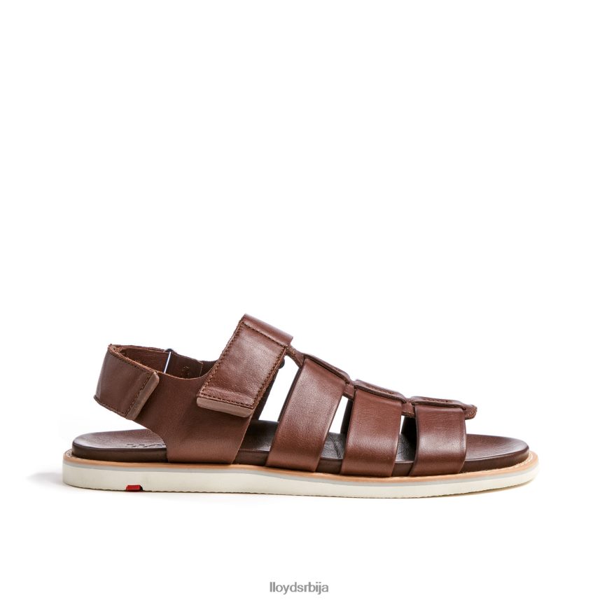 елимар мушкарци D0806T583 ципеле браон LLOYD