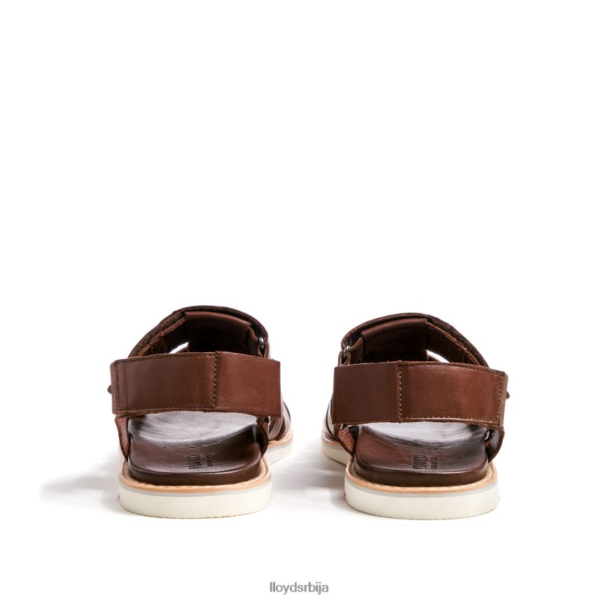 елимар мушкарци D0806T583 ципеле браон LLOYD